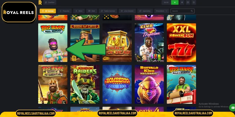 A Brief Overview of Big Bass Reel Repeat