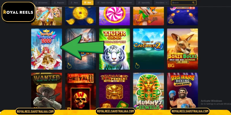 Essential Insights into Starlight Princess 1000